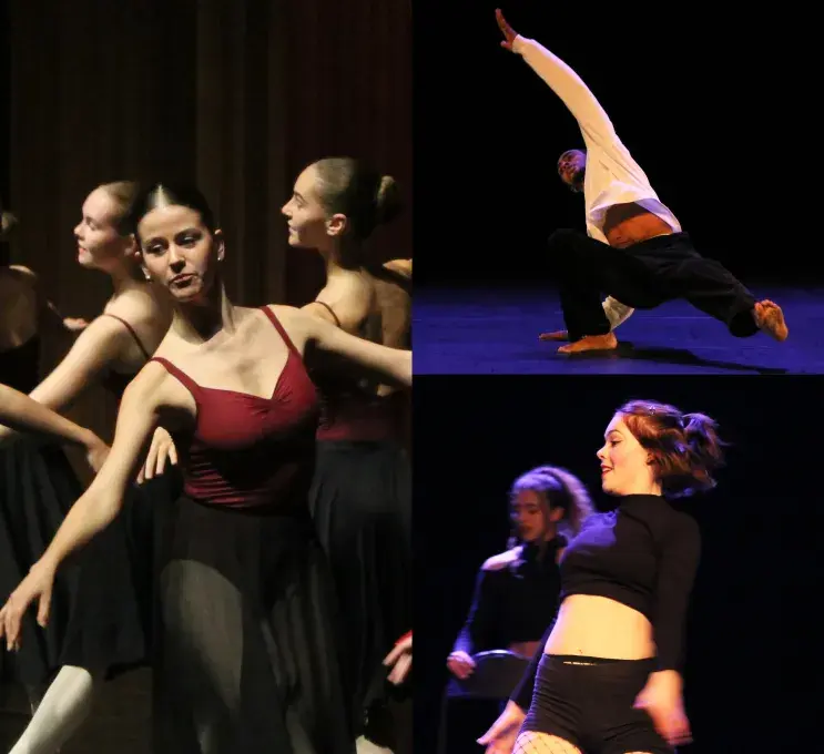 Photo montrant des danseuses et un danseur sur scène en spectacle