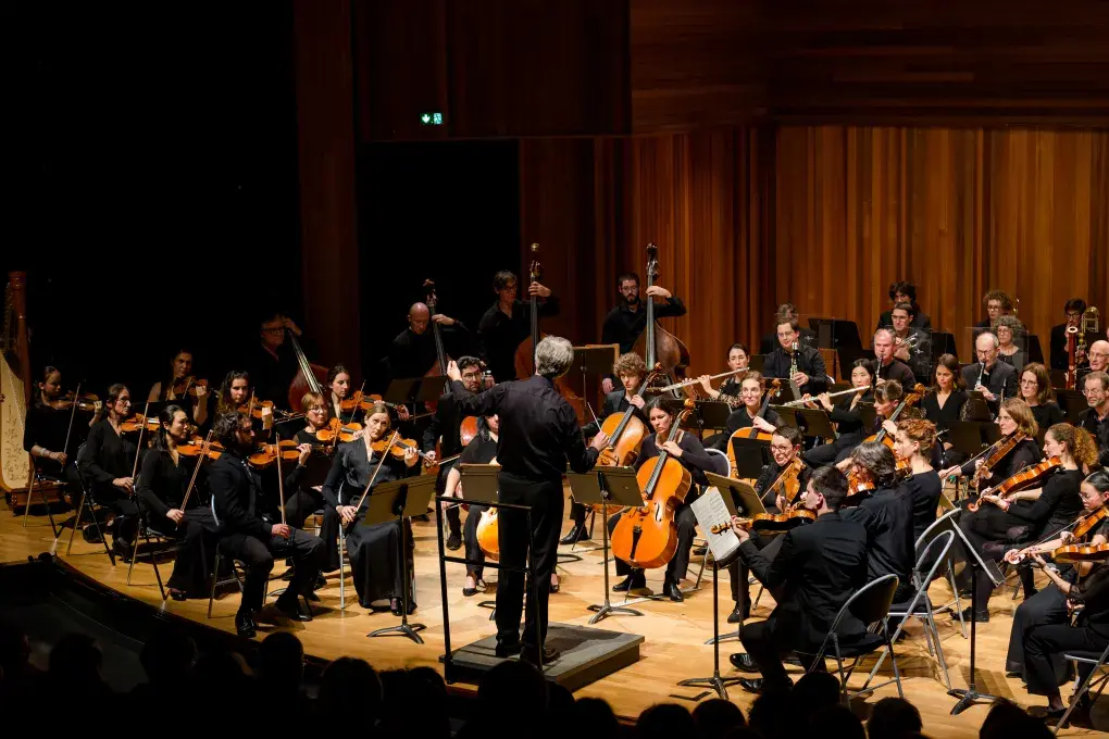 Photo montrant une cinquantaine de musiciens de l'ensemble Entre Sable et Ciel en concert à l'auditorium dirigés par Marc Schuster