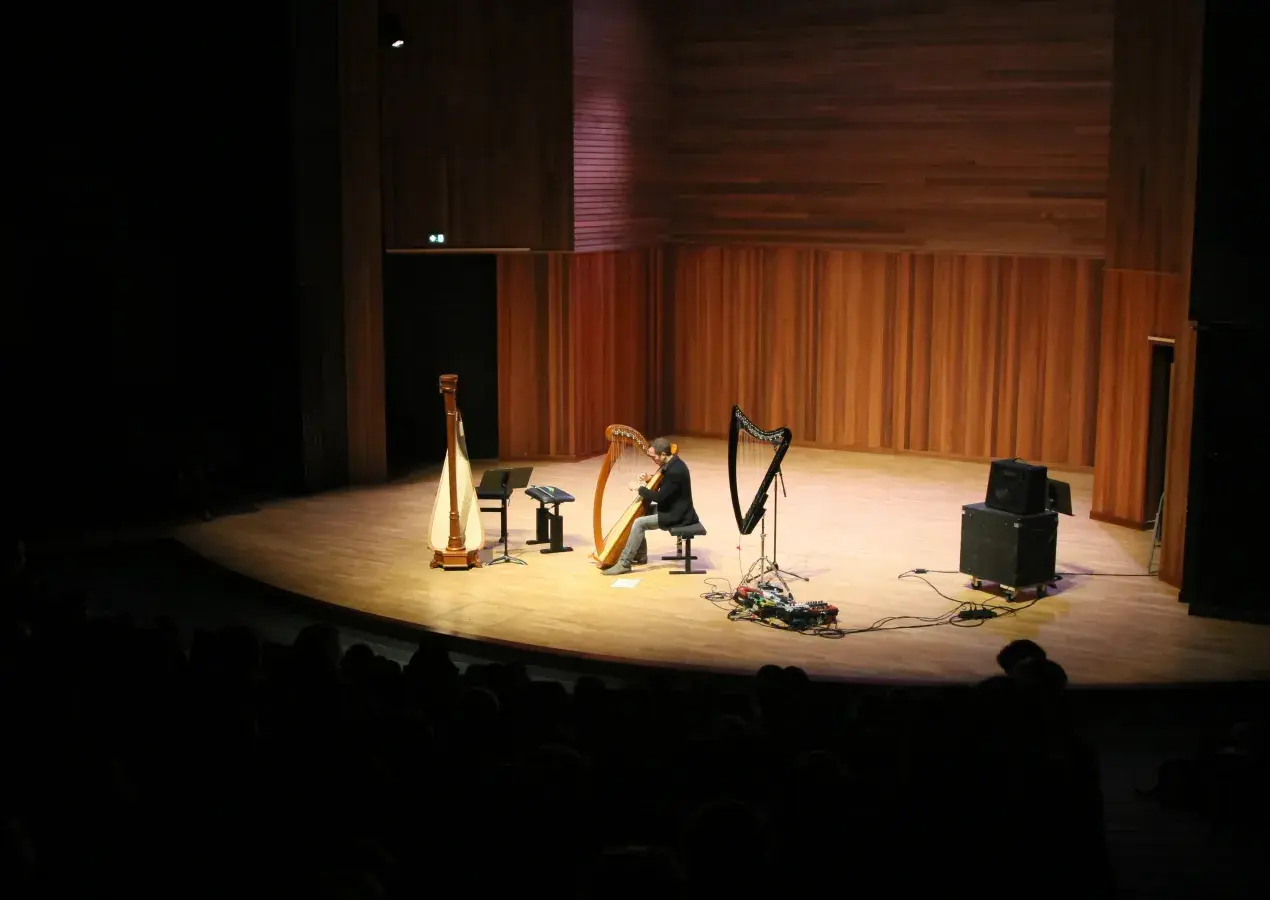 Photo montrant un professeur jouant de la harpe sur une scène