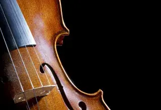 Photo représentant un violon.