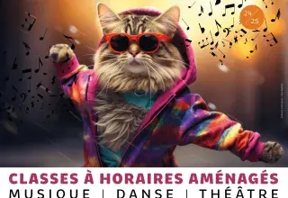 Illustration représentant un chat en train de danser avec des lunettes de soleils et un sweet à capuche