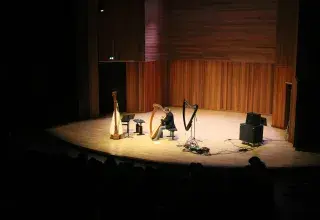 Photo montrant un professeur jouant de la harpe sur une scène