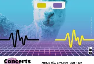 Affiche montrant un lama avec des lunettes 3 d